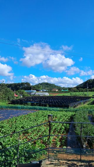 bpjh9173님의 자유주제 · 사진전 작성글 사진