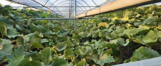 칠공언더님의 자유주제 · 자유게시판 작성글 사진