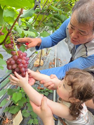 태일농산이정수님의 자유주제 · 자유게시판 작성글 사진