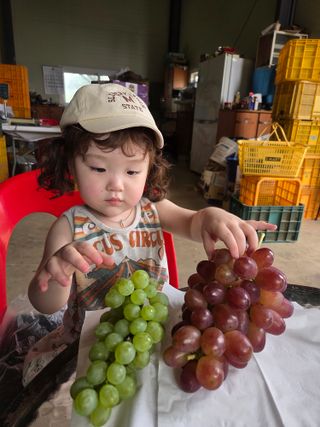 태일농산이정수님의 자유주제 · 자유게시판 작성글 사진
