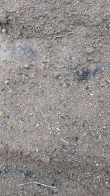 팜모닝 자유주제·자유게시판 게시글 이미지