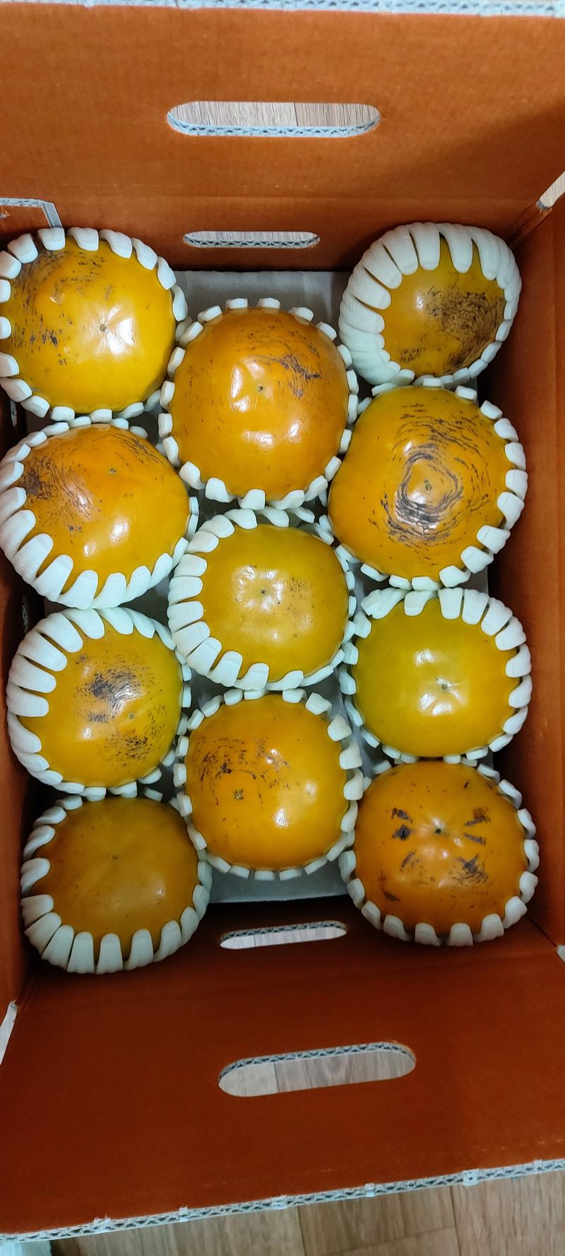 김용웅님의 장터 판매 상품 [조완.태추 5kg] 첨부 사진