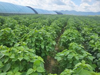 서명석님의 자유주제 · 자유게시판 작성글 사진