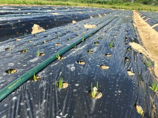 정명진님의 자유주제 · 자유게시판 작성글 사진