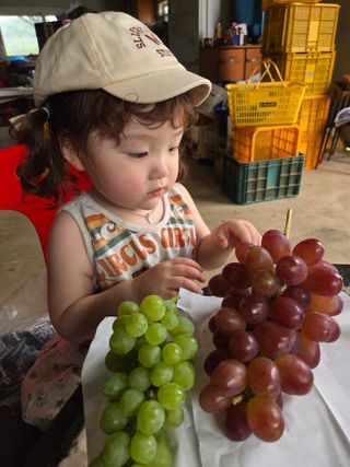 태일농산이정수님의 자유주제 · 자유게시판 작성글 사진