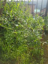 팜모닝 자유주제·건의해요 게시글 이미지