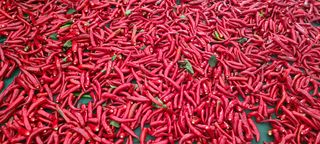 정진해님의 자유주제 · 자유게시판 작성글 사진