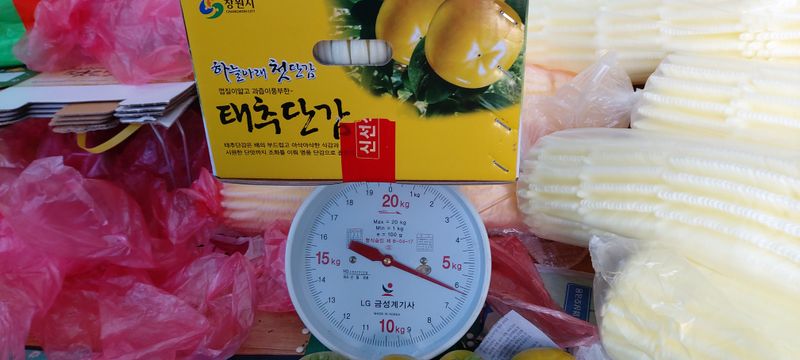 장터 상품 [조완.태추 5kg] 썸네일