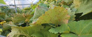 칠공언더님의 자유주제 · 자유게시판 작성글 사진