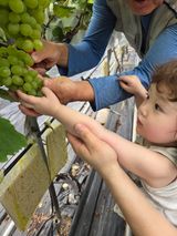 팜모닝 자유주제·자유게시판 게시글 이미지