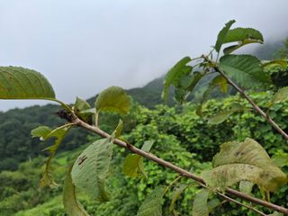 형남영님의 기타작물 · 자유게시판 작성글 사진