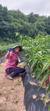 팜모닝 자유주제·자유게시판 게시글 이미지