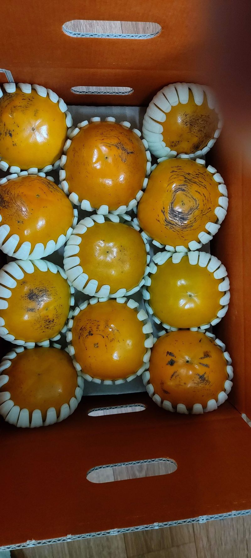 김용웅님의 장터 판매 상품 [조완.태추 5kg] 첨부 사진