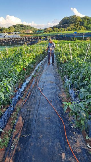 bpjh9173님의 자유주제 · 사진전 작성글 사진