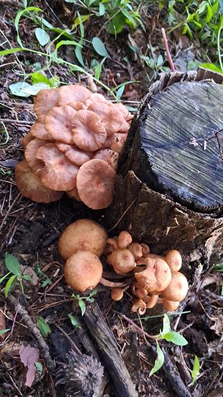 bpjh9173님의 자유주제 · 사진전 작성글 사진