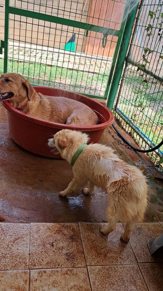 bpjh9173님의 자유주제 · 사진전 작성글 사진