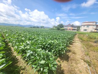 서명석님의 자유주제 · 자유게시판 작성글 사진