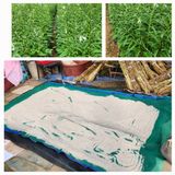 팜모닝 농사, 무엇이든 물어보세요!·참여글 게시글 이미지