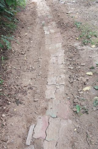 철남 김희곤님의 자유주제 · 자유게시판 작성글 사진