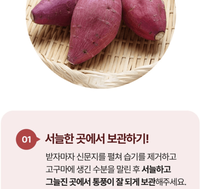 스피드번님의 장터 판매 상품 [해남 꿀밤고구마 ] 첨부 사진