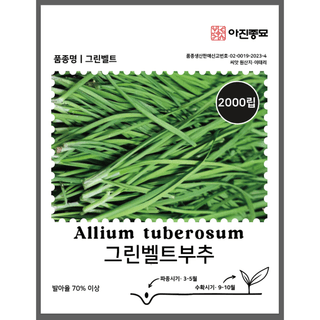 주주씨앗님의 작성글 사진