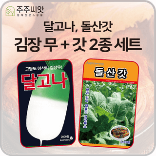 주주씨앗님의 작성글 사진
