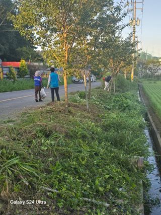 사천시향촌동 돼지띠님의 자유주제 · 자유게시판 작성글 사진