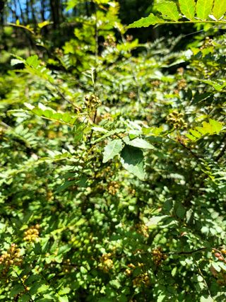 곶감님의 자유주제 · 자유게시판 작성글 사진