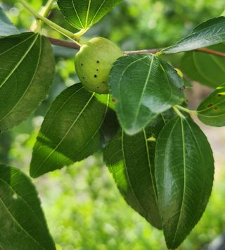 하은와송~♡♡♡~님의 자유주제 · 자유게시판 작성글 사진