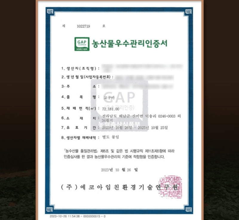 스피드번님의 장터 판매 상품 [해남 꿀밤고구마 ] 첨부 사진