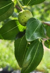 팜모닝 자유주제·자유게시판 게시글 이미지