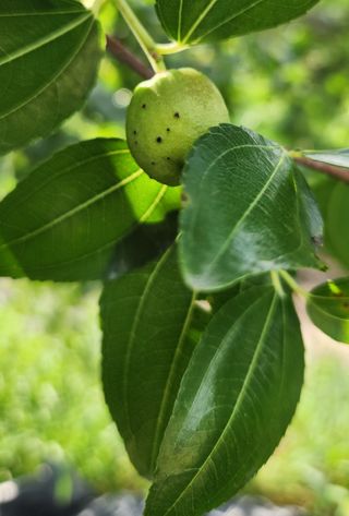 하은와송~♡♡♡~님의 자유주제 · 자유게시판 작성글 사진