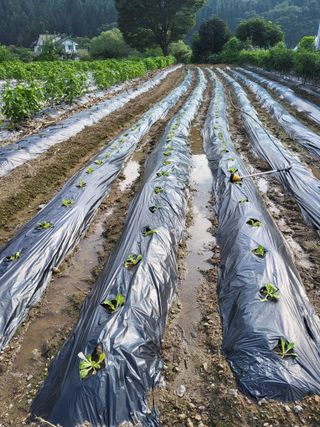 이연화님의 자유주제 · 자유게시판 작성글 사진