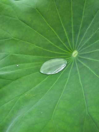 진문거사님의 작성글 사진