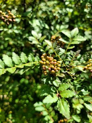 곶감님의 자유주제 · 자유게시판 작성글 사진