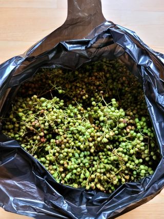 곶감님의 자유주제 · 자유게시판 작성글 사진