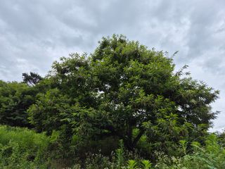 전홍열님의 자유주제 · 사진전 작성글 사진