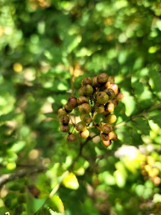 곶감님의 자유주제 · 자유게시판 작성글 사진