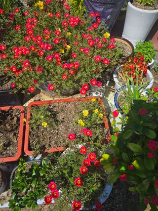 자연인님의 자유주제 · 자유게시판 작성글 사진