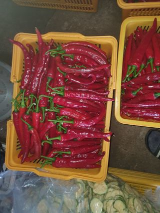 안비님의 자유주제 · 자유게시판 작성글 사진