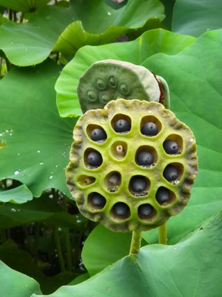 진문거사님의 작성글 사진