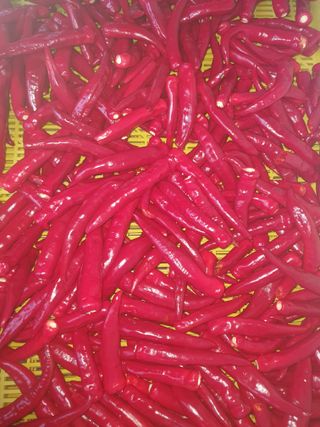 안비님의 자유주제 · 자유게시판 작성글 사진