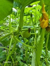 팜모닝 자유주제·사진전 게시글 이미지