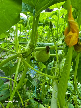 전홍열님의 자유주제 · 사진전 작성글 사진