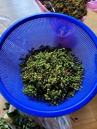 곶감님의 자유주제 · 자유게시판 작성글 사진