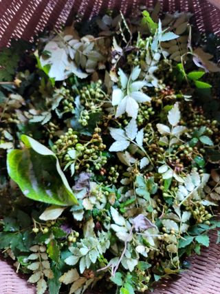 곶감님의 자유주제 · 자유게시판 작성글 사진