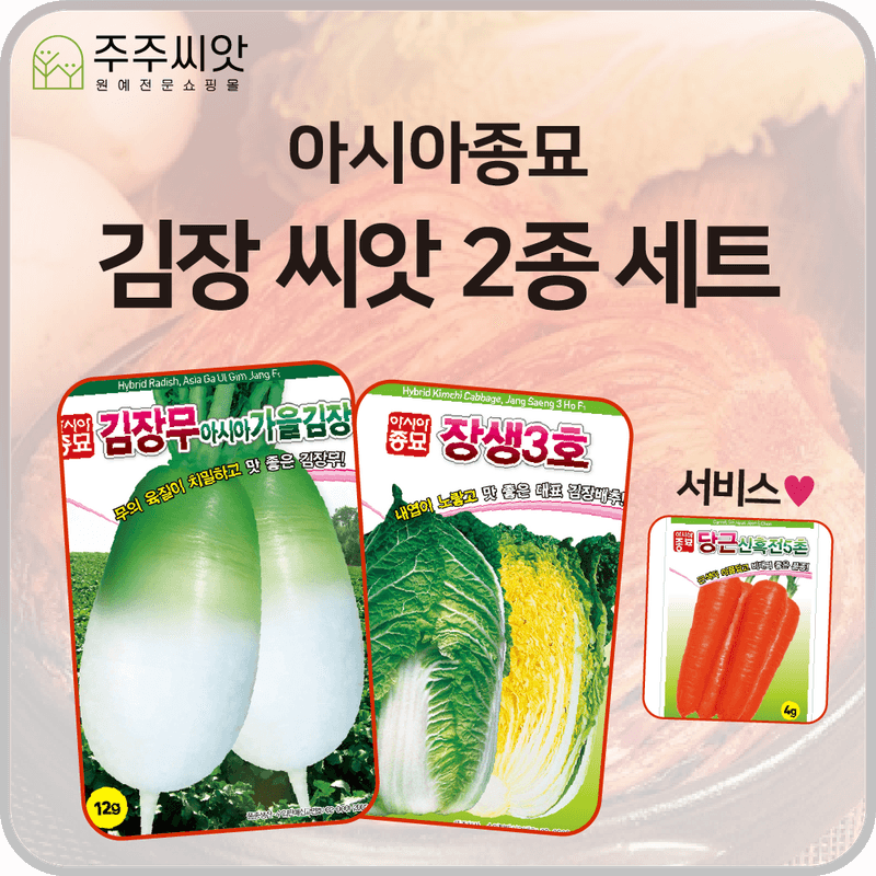 장터 상품 [아시아 김장무 + 김장배추 씨앗 세트 / 당근씨앗 증정 / 김장채소 씨앗] 썸네일