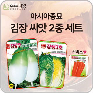 주주씨앗님의 작성글 사진
