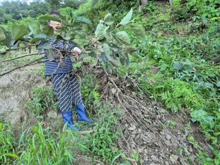 그린세상님의 자유주제 · 자유게시판 작성글 사진