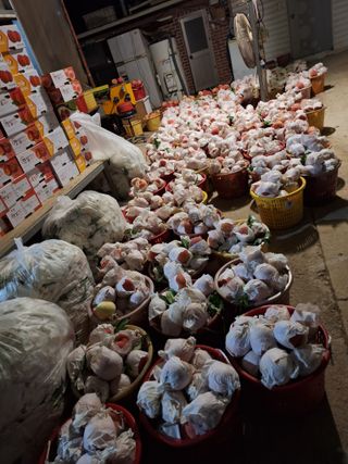 욕심내지말자님의 복숭아 · 자유게시판 작성글 사진